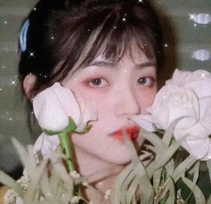 黑楼怪谈